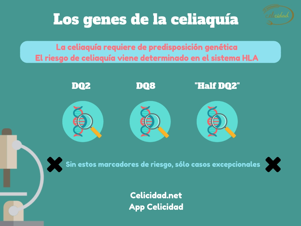 los genes de la celiaquia
