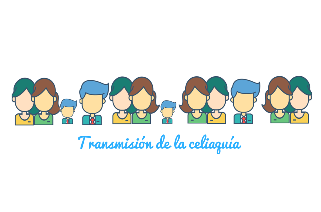 Transmisión de la celiaquía - Celicidad