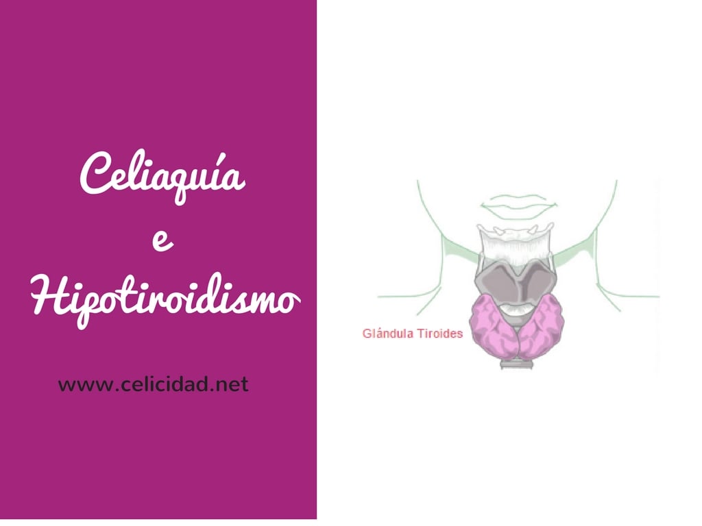 celiaquía e hipotiroidismo