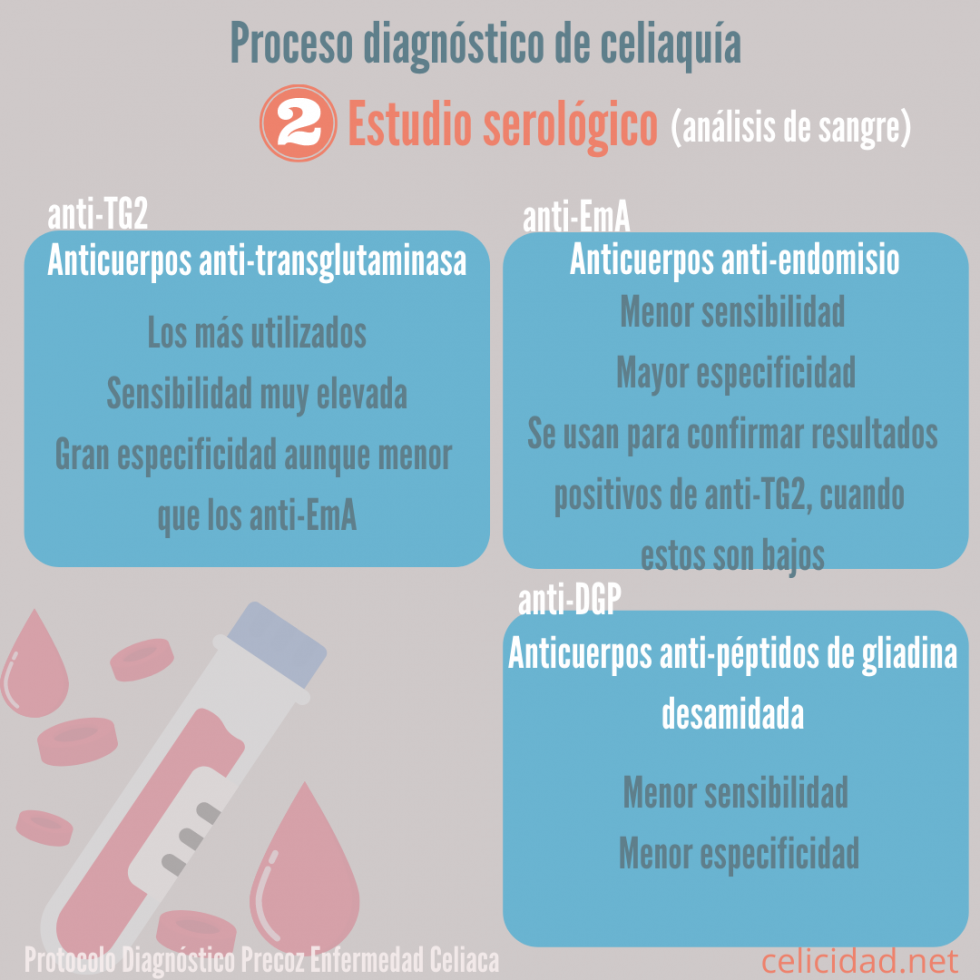 Anticuerpos de la celiaquía la serología negativa no siempre descarta