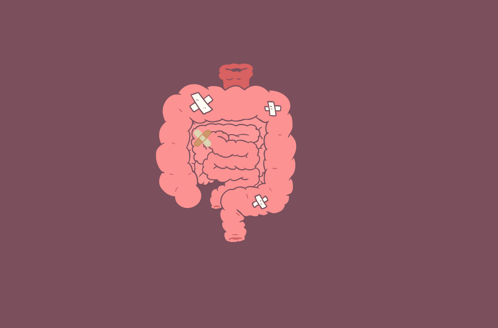 Vellosidades intestinales: ¿qué son? ¿qué función cumplen?