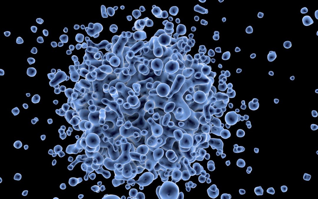 celiaquía y coronavirus